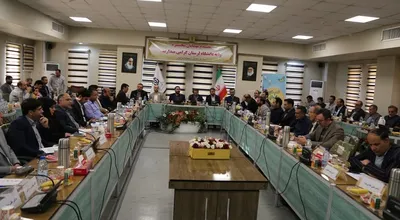فهمیده 31