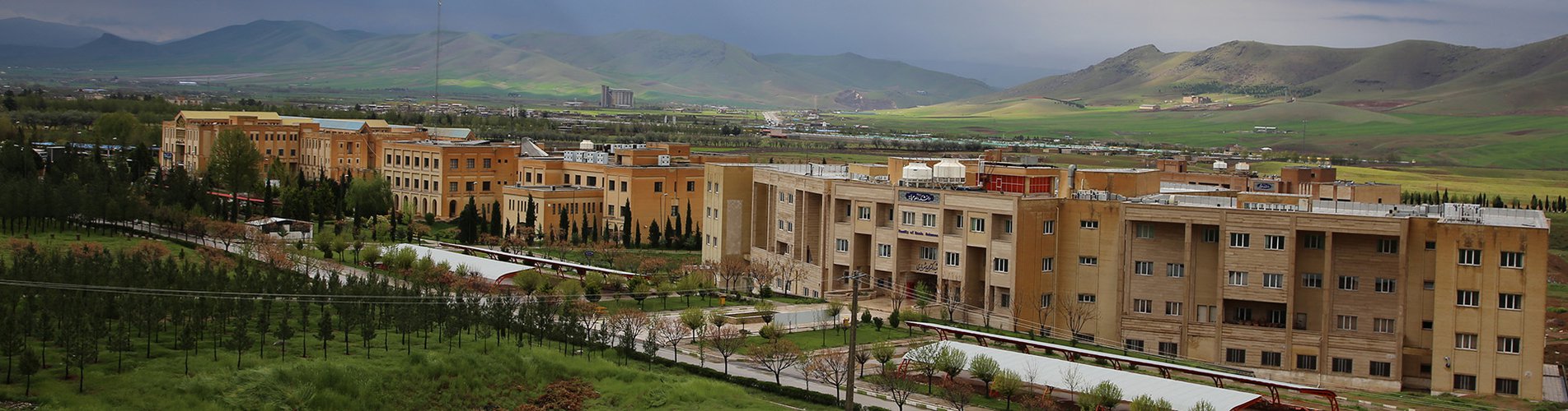 نمای کلی